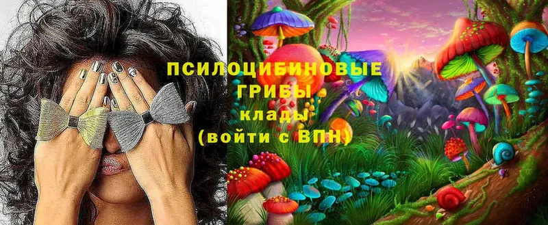 Псилоцибиновые грибы MAGIC MUSHROOMS  дарк нет какой сайт  Алексин  купить закладку 